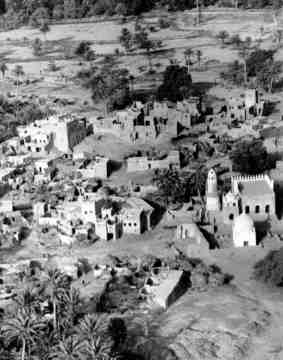 ���� ������ ��� ��� ����